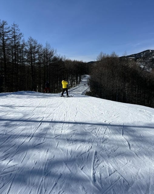 雪上の冒険：スキーツアーで見つける極上の冬の楽しみ